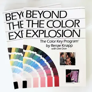 Beyond The Color Explosion The Color Key Program by Renae Knapp with Dee Dorr Comprehensive Guide to Color Psychology Theory & Practical Applications of the Blue Base Yellow Base Color System