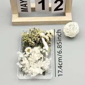4-box set of natural dried flowers and leaves, (gypsophila, hydrangea, millet flowers, red strawberry fruit, pink Penglai pine, white rabbit tail grass, Rudan bird) preserved flower production materials for decorat