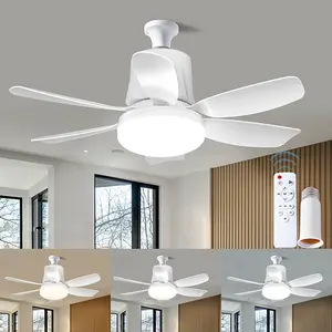 Socket Fan with LED Light and Remote, Small Dimmable Ceiling Fan, Adjustable Speeds and Brightness, Light Socket Fan for Bedroom, Kitchen, Living Room