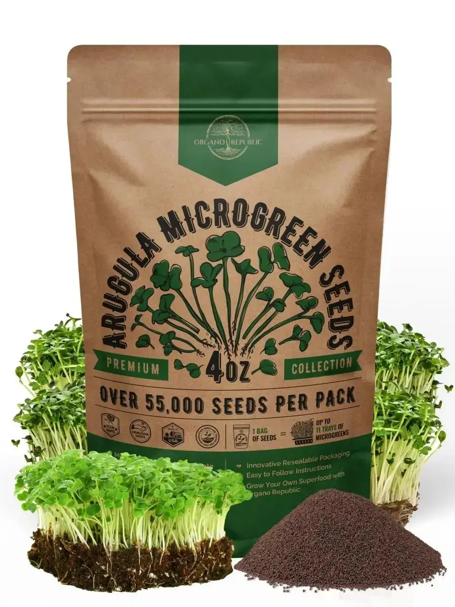 Arugula Sprouting & Microgreen Seeds 4oz