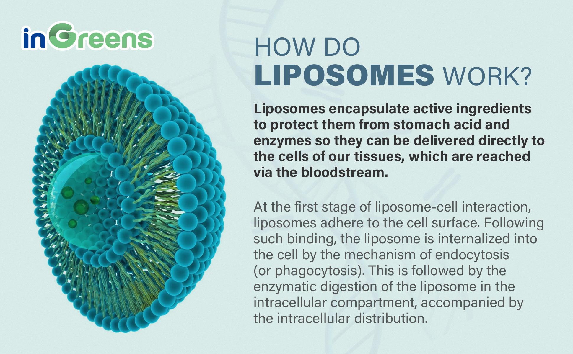 inGreens NAD+ Supplement 1800mg -Pure NAD Supplement -Energy and DNA Repair, Aging Defense, Brain Function -90Counts (45 Days)