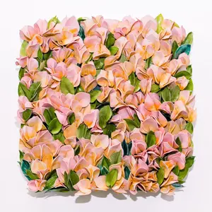 Carlie Stracka - Bougainvillea