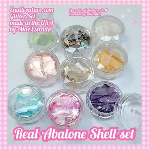 Real Abalone Shell Set Irregular Nail Art Shell Abalone Slices- 9 Natural Shell Flakes 3D Nail Art Seashell Broken Stones Piece UV Gel Flake Sequins Decorations