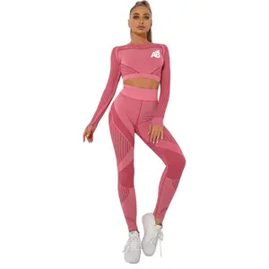 Women’s Seamless Sportswear Set - 2 Piece Long Sleeve Crop Top & High Waist Leggings - Yoga Outfit, Workout Gym Set - Moisture Wicking Fitness Clothes Activewear for Women | Pink, Xl Large
