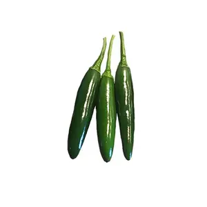 Serrano Hidalgo Seeds - Hot Mexican Peppers - Salsa & Pickling