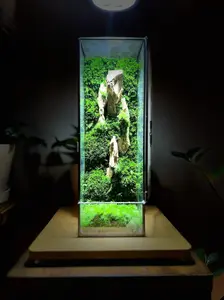 Floating Island SE Terrarium - Glass and Moss with Dragon Rock