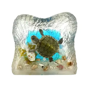 Real Turtle in Square Resin Paperweight Desktop Decoration Real Nature Gifts