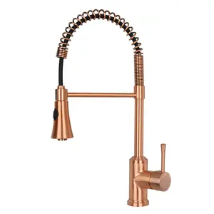 One-Handle Pre-Rinse Spring Copper Kitchen Faucet