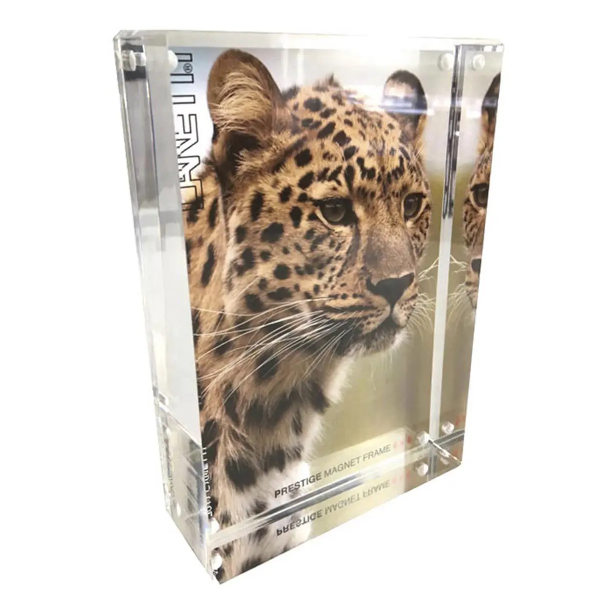 Canetti Prestige Magnet Frame, 4x6", Clear