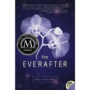 The Everafter by Amy Huntley [Paperback Book]