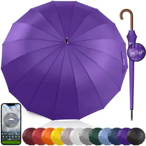 Large 2-Person Umbrella - 54 Inch 120cm Automatic Open Windproof Wind Resistant Fast Drying Strong 16 Ribs Portable Travel Umbrella, Purple
