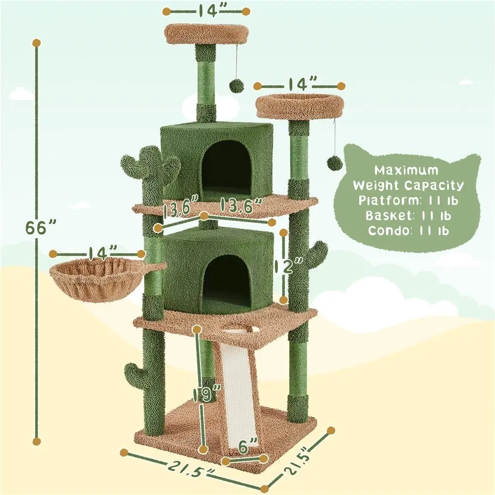 66″ H Cactus Theme