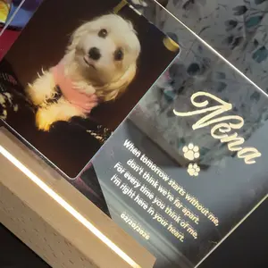 Custom Pet Memorial Gift - in Memory of Loss of Dog Sympathy Gift Night Light, Personalized LED Acrylic Plaque, Pet Loss Sympathy Gift, Dog Cat Memorial Gift, Custom Led Night Lights Glass Plaque with Pet Photo, Gifts for Pet Lovers,