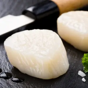 Hokkaido Scallops – Sashimi-Grade, 5 lbs Increments