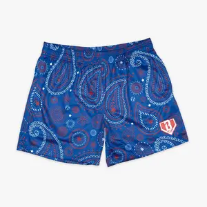 Paisley Shorts