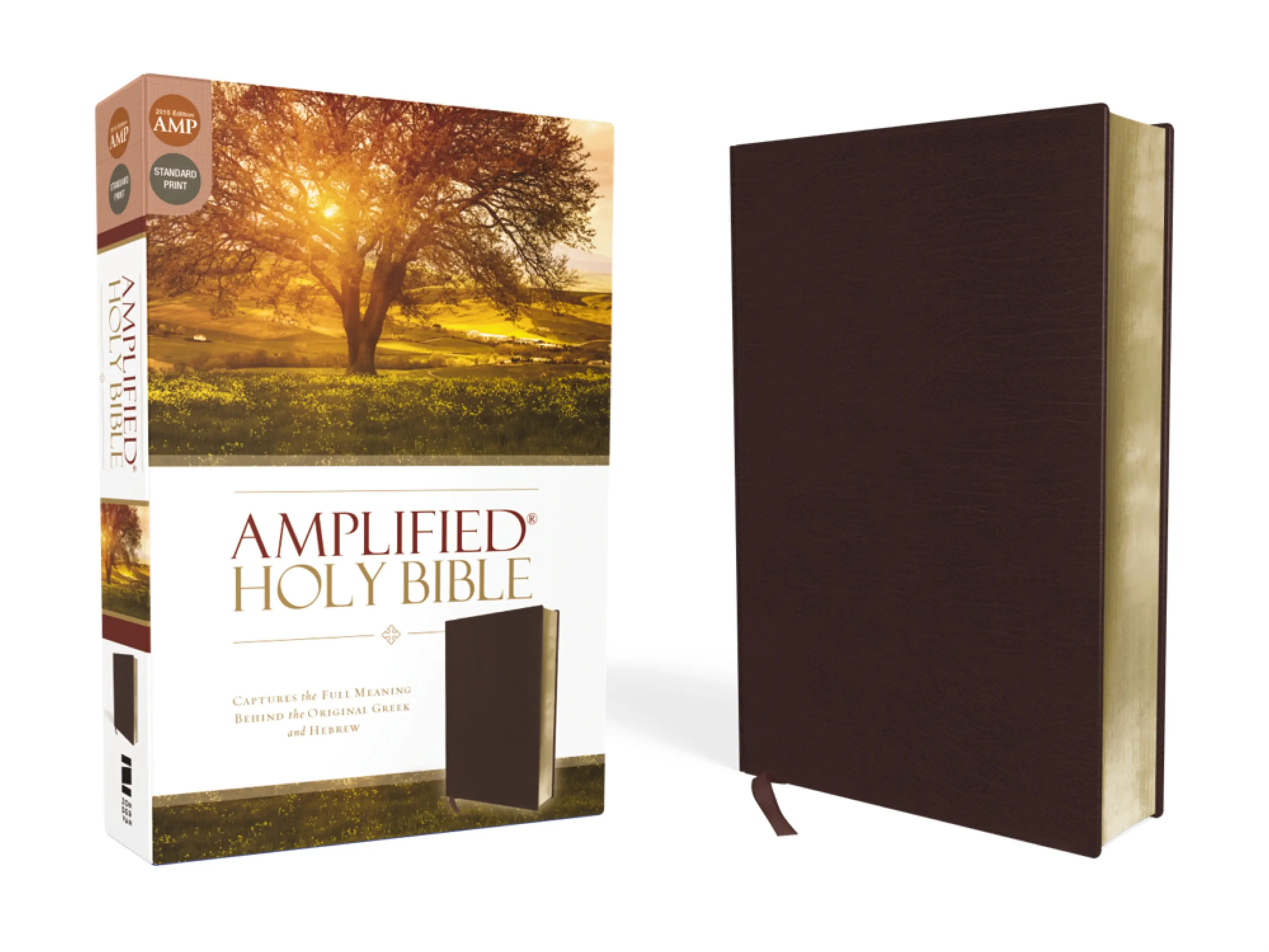 Amplified Holy Bible, Bonded Leather, Burgundy: Captures the Full Meaning Behind the Original Greek and Hebrew by Zondervan [Leatherbound Book]