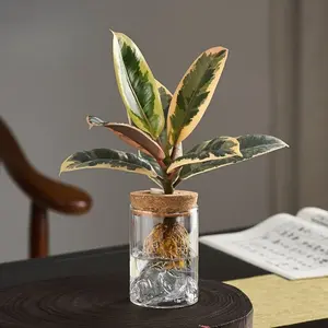 Hydroponic Plant Vase | Transparent Glass Seedling Pot with Wood Lid | Indoor Gardens & Herbs | Air-Purifying Accessories | Rustic Whiskey Bar Style | Unique Gifts for Drinkers & Liquor Lovers | Flower Vase