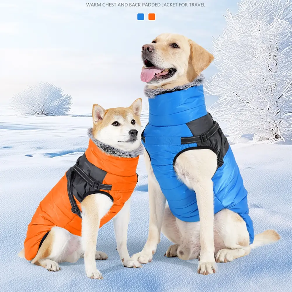 Dogs come with their own chest and back snow clothing in winter, with a fleece high collar and fleece insulation. Outdoor reflective, snow resistant, windproof, waterproof and warm dog clothing is an integrated snow clothing for winter, Husky Clothes