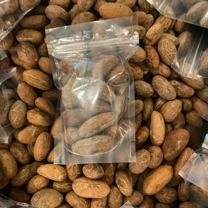 Bitter kola / kola seeds / 15 pieces around 4 oz Bitter kola / kola seeds / 15 pieces around 4 oz