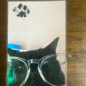 A Picture Of My Cat Wearing Glasses 4x6in Collectible