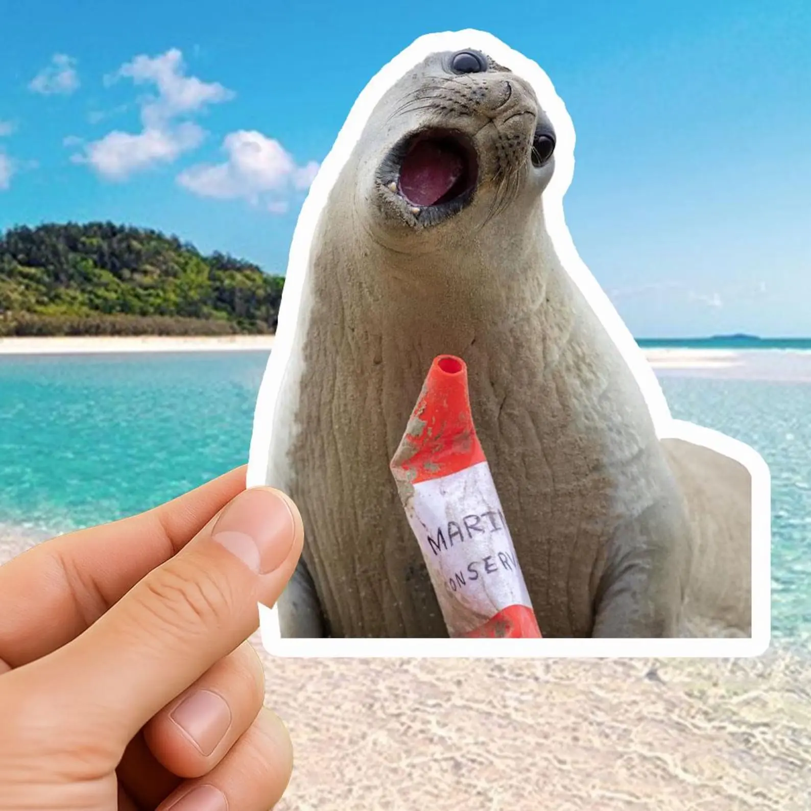 Elephant Neil the Seal Stickers, cVinyl Stickers, Elephant Seal Stickers, Neil the Seal Vinyl decal, Neil Seal sticker