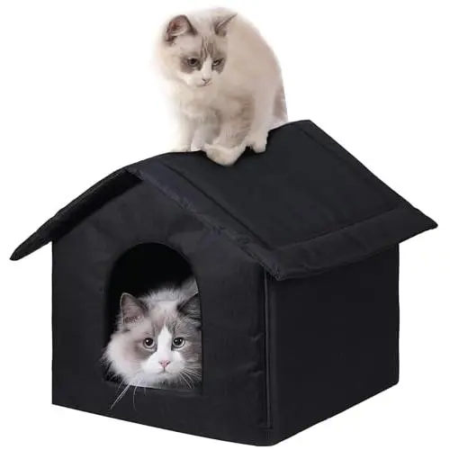Black cat house