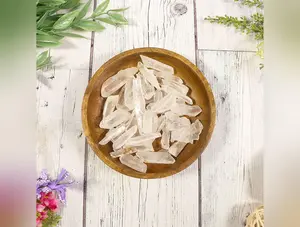 Mini Lemurian Points - Lemurian Quartz Crystal