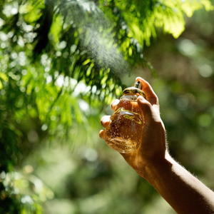 Kayali Super Brand Factory