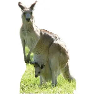 212 MAIN Life-Size Kangaroo Cardboard Cutout, Advanced Graphics Home Decor Standup Display, Realistic Cutout
