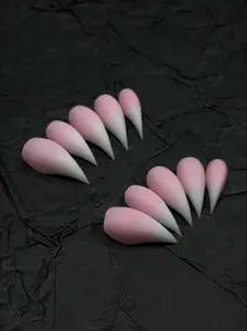 Cosplay Cat Dragon Eagle Claw Nails Long-Medium Sharp Press On Gothic Fake Nails 10Pcs Mother's Day Gift for Cosplay Enthusiasts