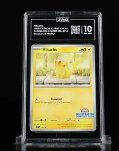 Pikachu Illustration Contest 2024 TAG 10