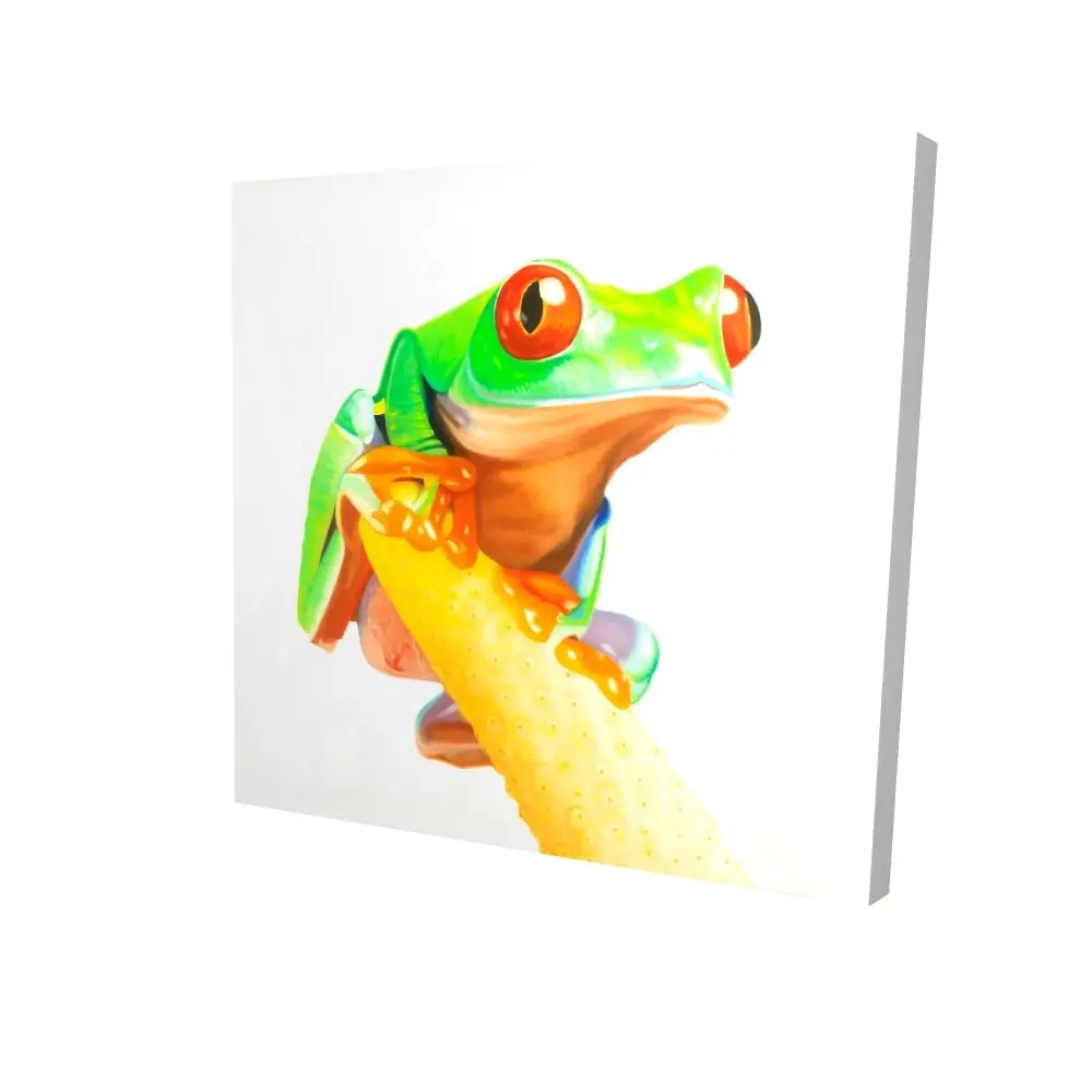 212 MAIN Artistic Curious Red-Eyed Frog Canvas Print - 24x24 in. High Pigment Density Tree Nature Art, Durable Hanging Green Reptile Wall Decoration for Bedroom, Ideal Gift