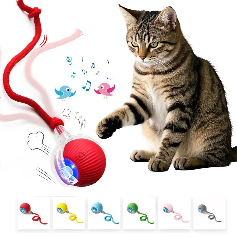 USB Charged Interactive Pet Rolling Ball, Automatic Moving Anti-Anxiety Toy with Bird Chirp Sound Effect, Durable Rolling Toy Fit Carpet & Floor, Daily Play Gift for Kittens and Puppies