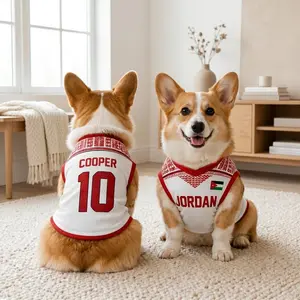 Custom Jordan Dog Soccer Jersey, Personalized Pet Shirt With Name Number, Jordan Dog Outfit, Game Day Gift for Pet Lover