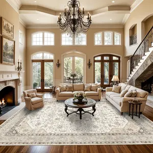 Living Room Area Rugs Extra Large Area Rug Super Soft Distressed Oriental Rugs with Non-Slip Backing - Thin Stain Resistant Indoor Rug