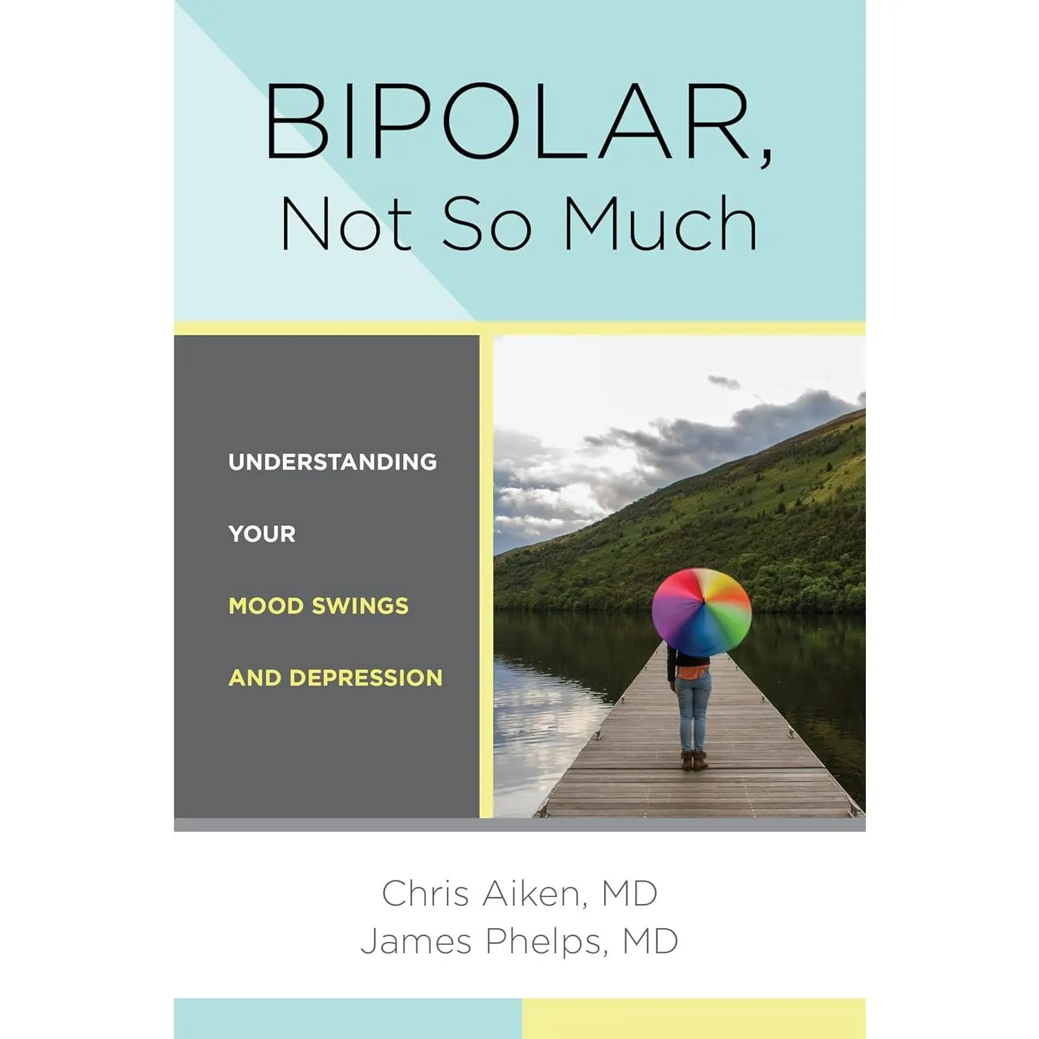 Bipolar, Not So Much: Understanding Your Mood Swings and Depression