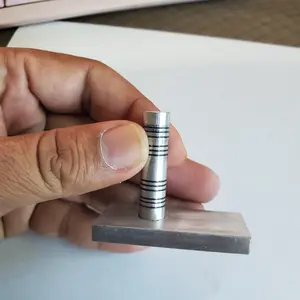 Mexican Short Gauge Mexican gauge gamebrid rooster poultry