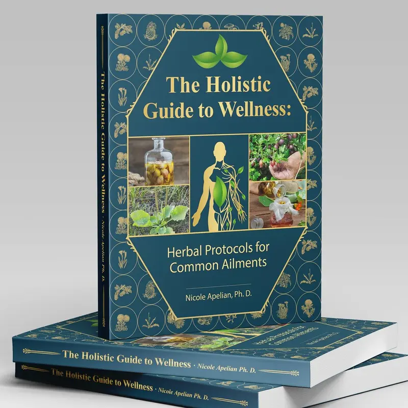The Holistic Guide to Wellness paperback