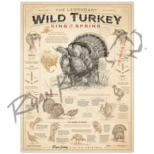 Wild Turkey Poster – King of Spring | Turkey Hunting Art & Field Guide
