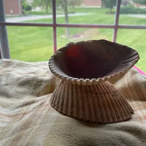 Shell Jewelry Holder - Natural Seashell Design for Displaying Jewelry - Unique Decorative Accessory for Home Decor