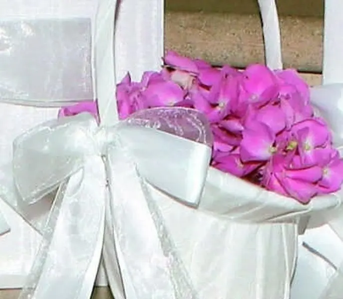 Ivy Lane Design 4UT Grace Crystal Cross Flower Girl Basket with Removable Pendant - White Home Organizer Storage Basket