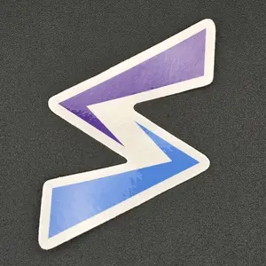 Skeeters Sports Cards Stickers - Vibrant Purple and Blue Design for Collectors and Fans