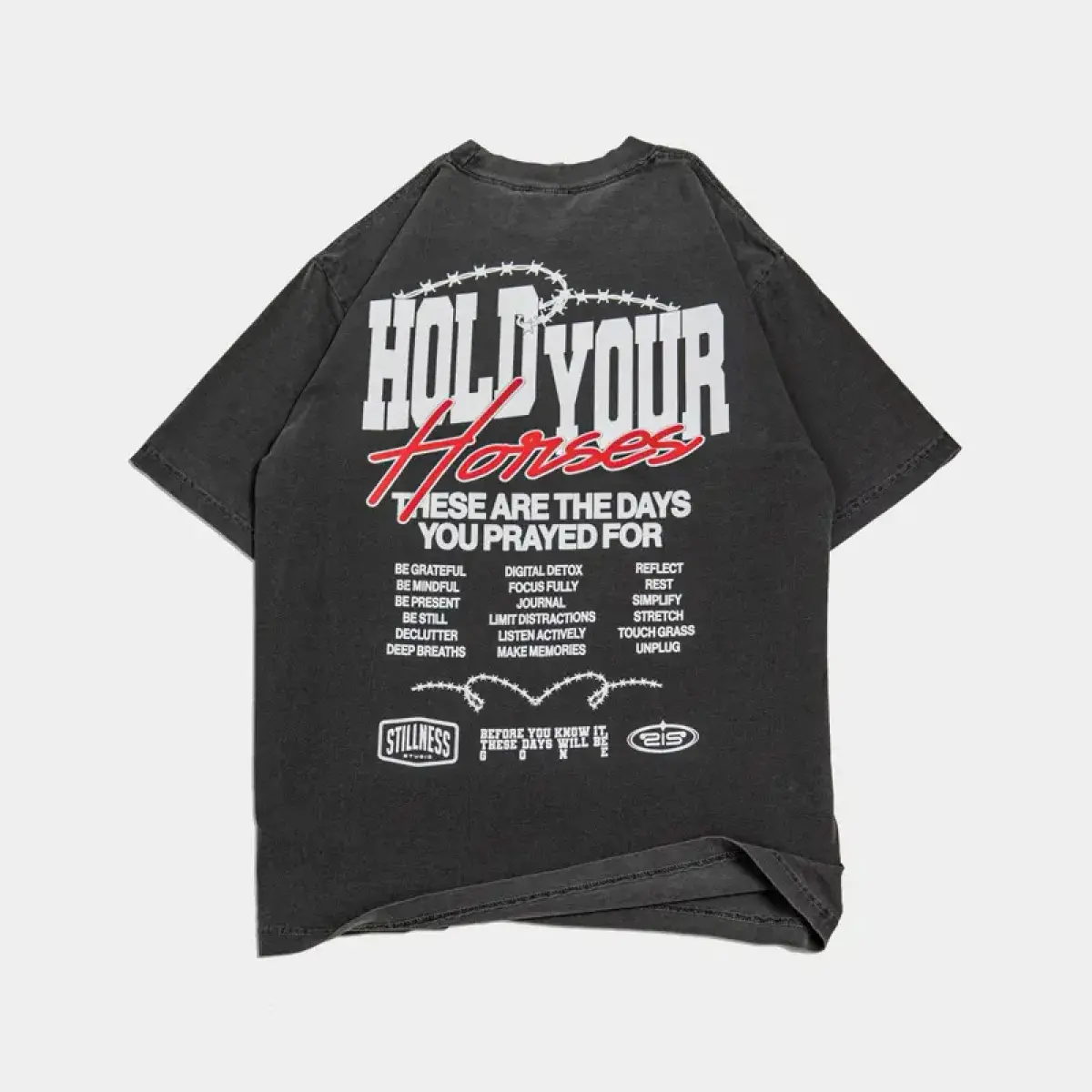Men's Classic 'Hold Your Horses' Graphic T-Shirt, Comfortable Short-Sleeve Sport Crewneck for Casual Layering, Tshirt, Shortsleeve