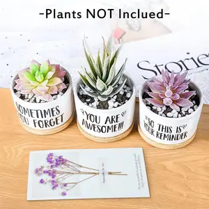 3-Pack Inspirational Succulent Pots for Women - Motivational Gift for Friends & Besties - Aesthetic Mini Planters with Drain Holes for Home Office Desk Decor