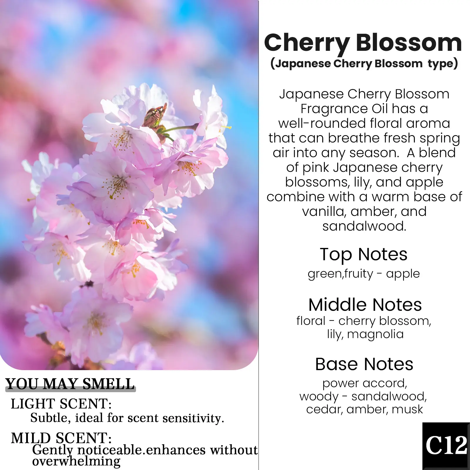C12-Cherry Blossom(Japanes Cherry Blossom type)