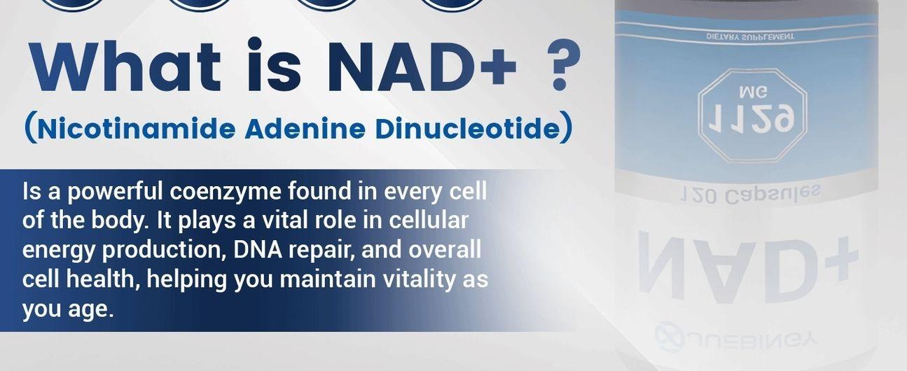 NAD+ Supplement 120 Capsules – Liposomal NAD+ with Resveratrol for Cellular Energy & Daily Vitality – High Absorption Formula for Men & Women – Vegan, Non-GMO, Gluten-Free