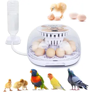 Egg Incubator, 12 Eggs Incubator for Hatching Eggs, Digital Incubator Chicken Egg Incubator with Automatic Egg Turning and Water Adding for Hatching Chickens Birds Ducks