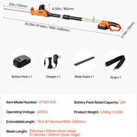 【Type: High Branch】