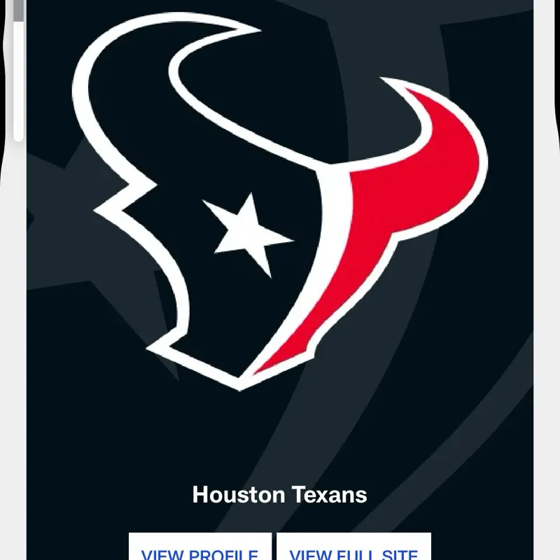 Texans