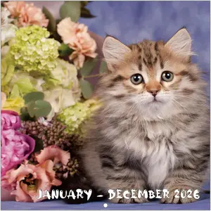 2026 Calendar, 2026 Wall Calendar, Cute Cats Calendar 2026. Jan. 2026 - Dec. 2026, 12" x 24" (Open), 12-Month Cats & Flower Wall Calendar, Large Blocks, Thick Paper,  Holes, Ample Writing Space